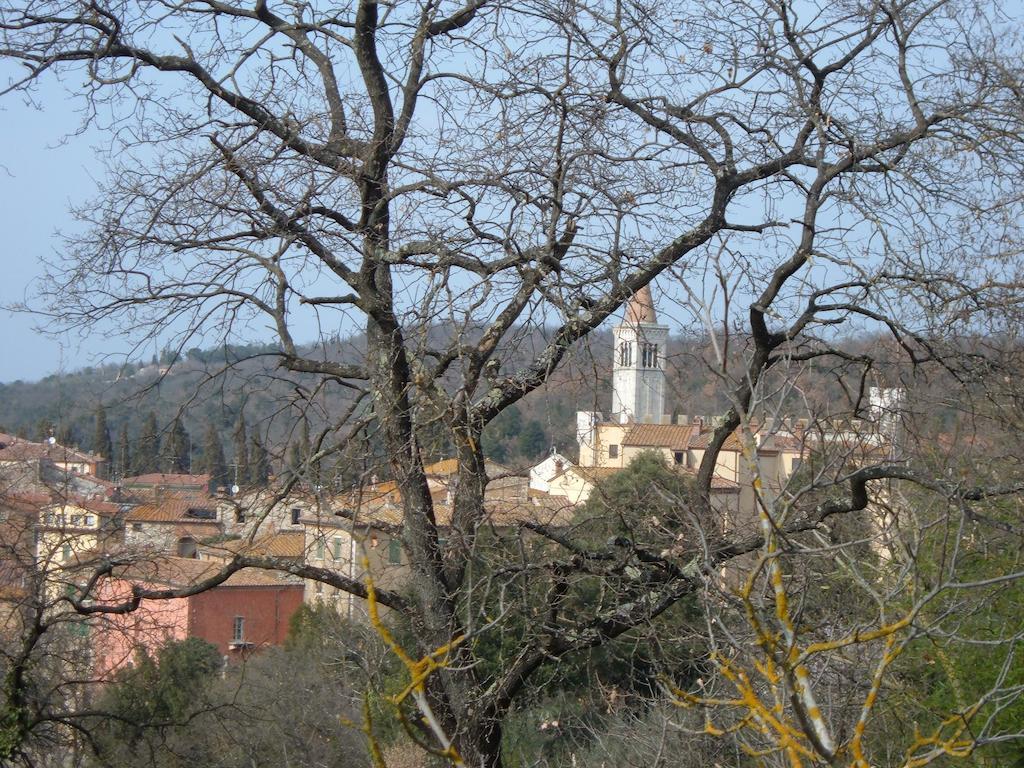 Casa Titty Apartment Serre Di Rapolano Cameră foto